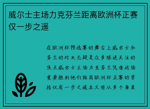 威尔士主场力克芬兰距离欧洲杯正赛仅一步之遥